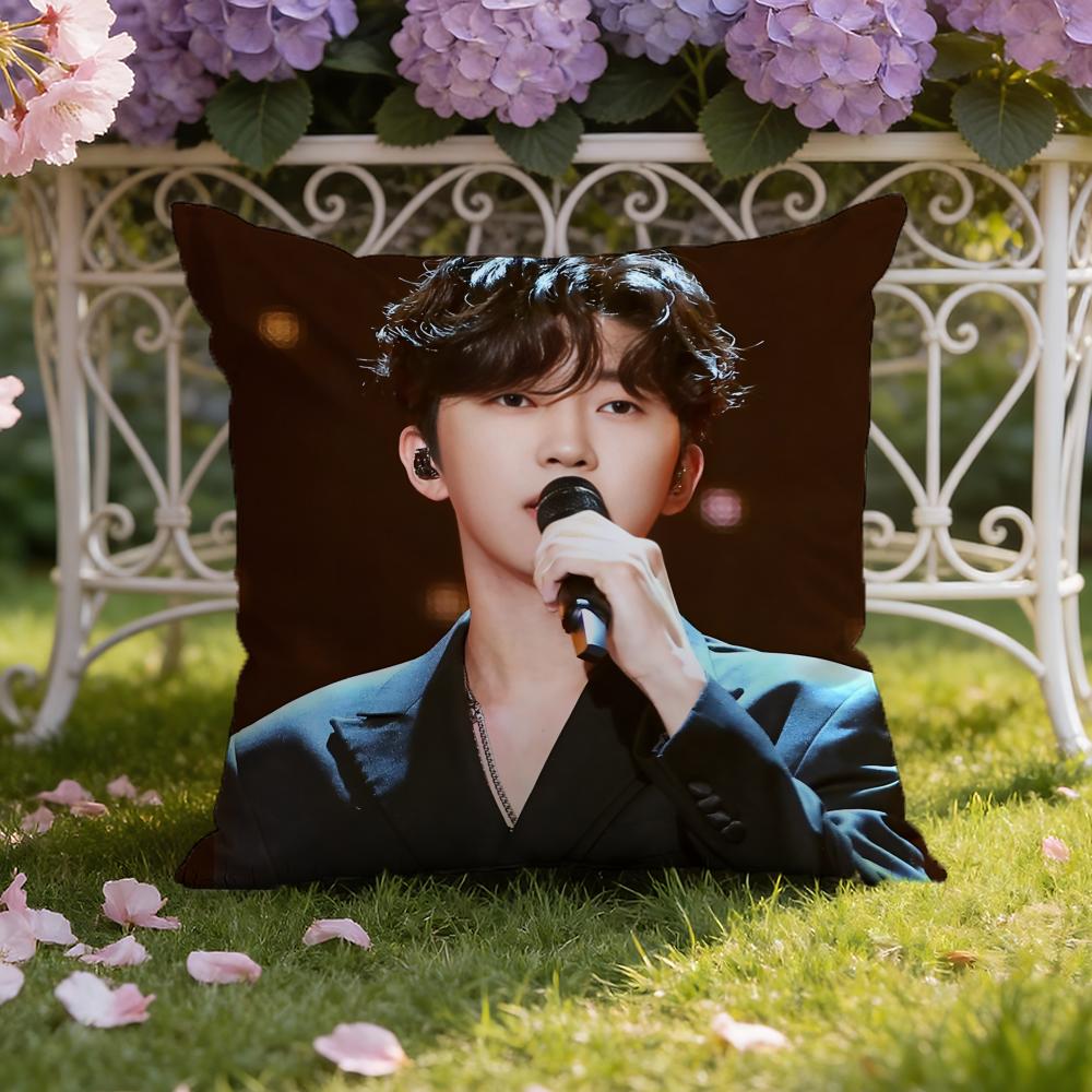 L-Lim Young W-Woong Cushion Cover Home & Car Dual-Scene Pillow Cover: Reversible for Premium Comfort