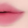 molette Shutter Fit Tint No. 05 Peony Shabet
