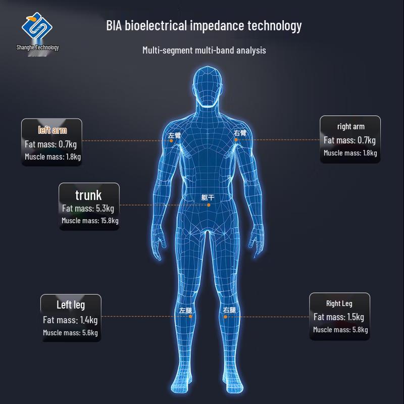Shanghe SH-V19F Professional 8-Electrode Body Composition Scale (CN Version)