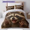 Set cu cuvertură și fețe de pernă cu model de desene animate Decorare casă Cadou de ziua de naștere (1 * husă de pilotă + 2 * fețe de pernă, fără miez)
