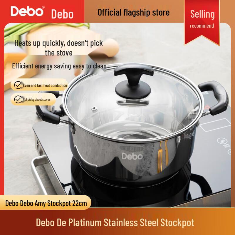 Debo 22cm Stainless Steel Soup Pot with Visible Lid