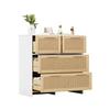 High-quality 4-drawer rattan cabinet with solid wood handles - Suitable for bedroom, living room, dining room, hallway - Dimensions: W80/H80/D38 cm