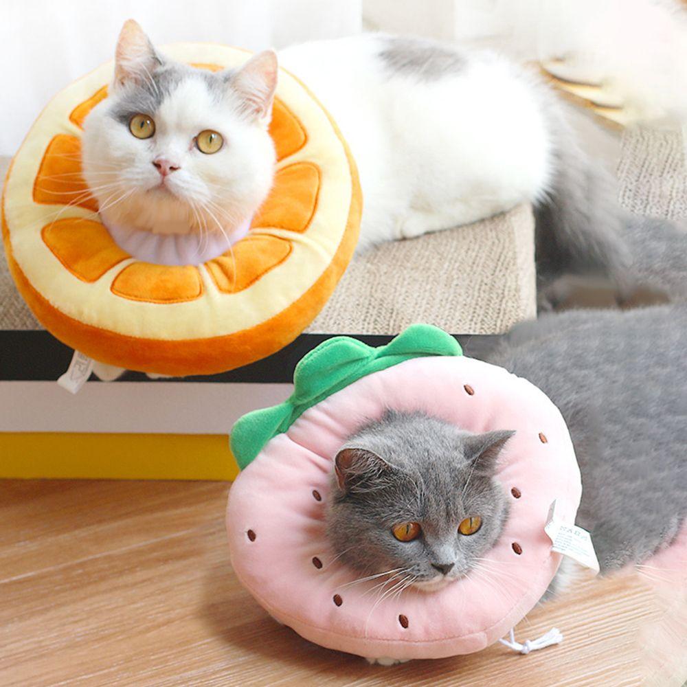 parfait cat bed