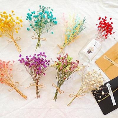 Photo Backdrop Natural Decorative Small Dried Flowers Babysbreath Bouquet Gypsophila Dry Flower
