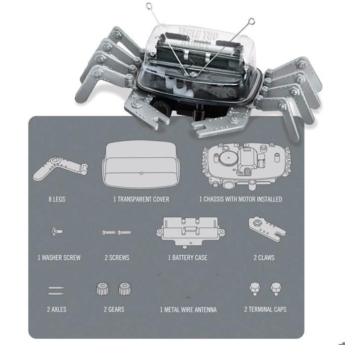 Robot crabe - 4M - 4m - Robot de Table - Intérieur - Mixte - Gris et Noir