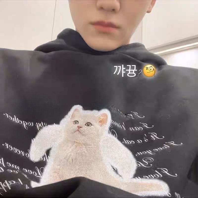 

Обратите внимание на корейскую толстовку с капюшоном NCT Lee Junno и Ro Jaemin Harajuku Angel Cat Couple от Itzavibe. L [Terry]