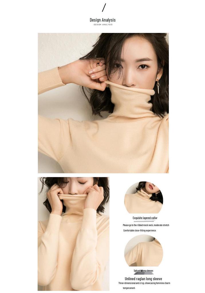 Women's Plus Size High Neck Turtleneck Pullover Sweater – Slim Fit, Thick, Pure Color, Autumn/Winter.