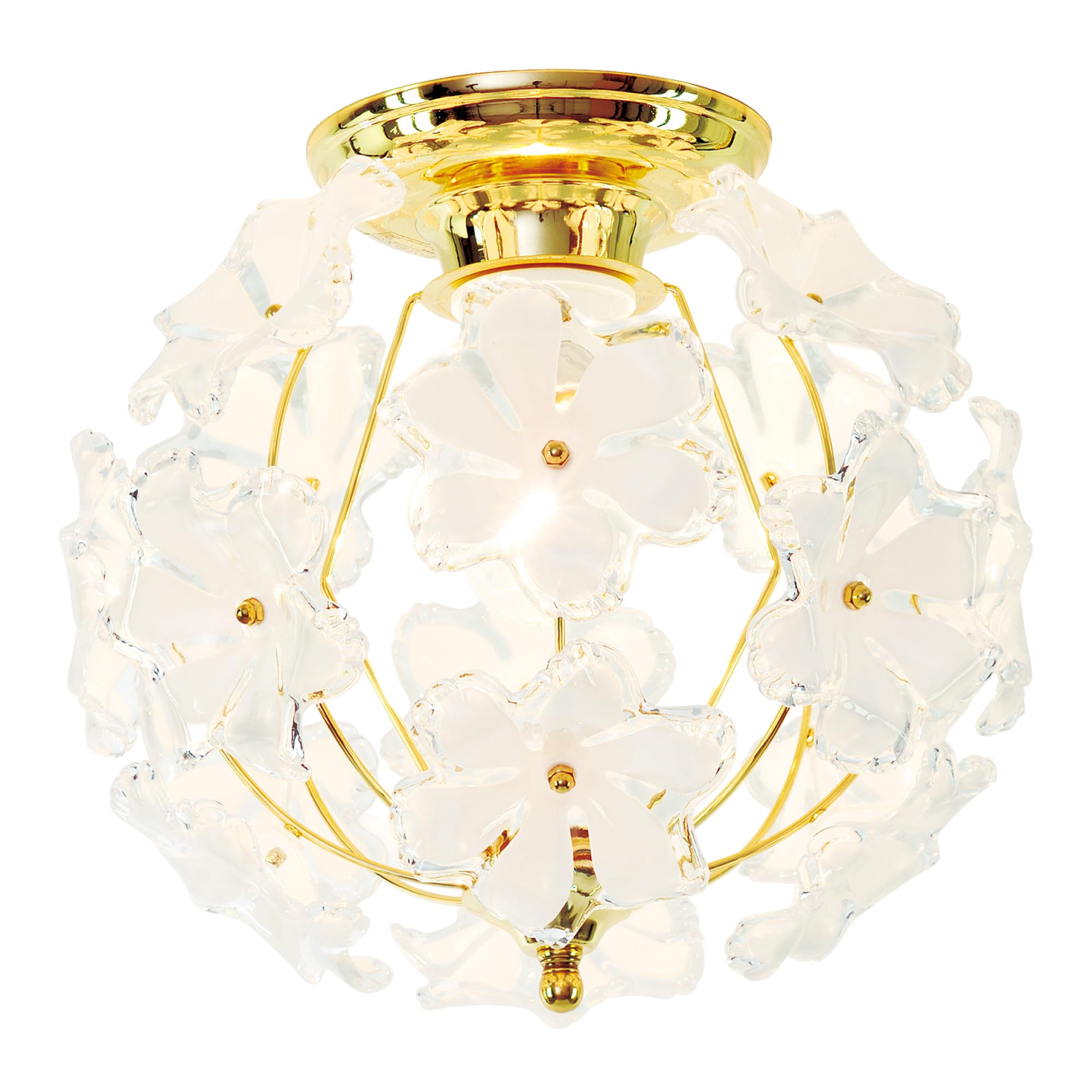 

Ceiling Light 1 Light Lighting E26 Bulb Sold Separately Bouquet [Amplimle]