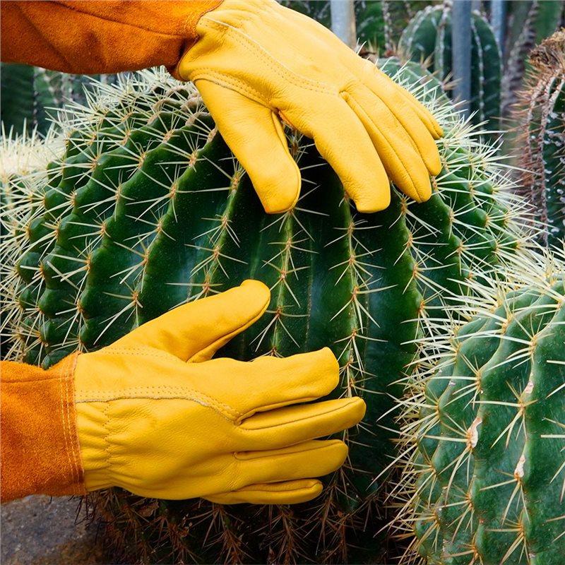 AAAF Thorn-Proof Rose Pruning Gloves Long Gardening-Gloves Heavy Duty Gauntlet-M For Men/Women