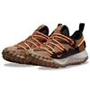 ACG Mountain Fly Low GTX SE Hazel Rush 2022 - DD2861-200