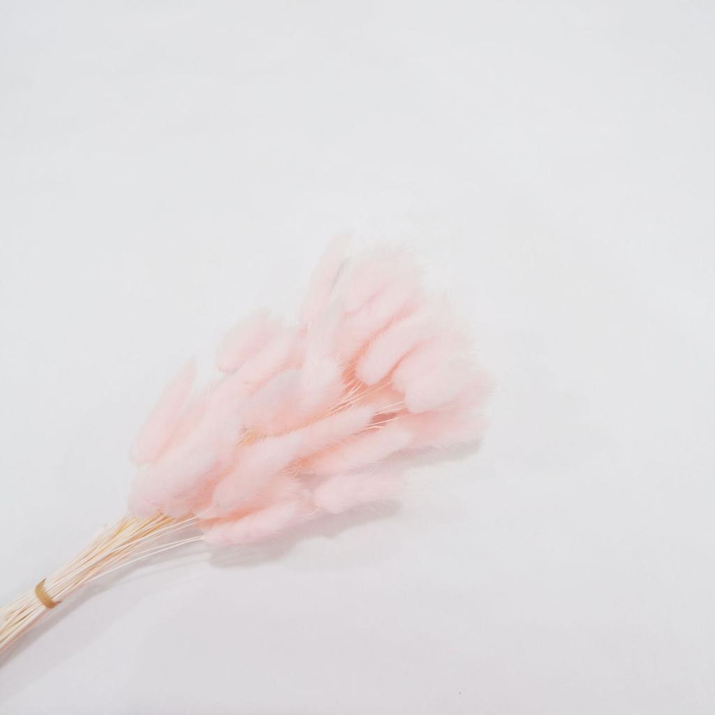 Small Reed Dried Flower Bouquet Small Whisk Small Pu Reed Reed Dried Flower Rabbittail