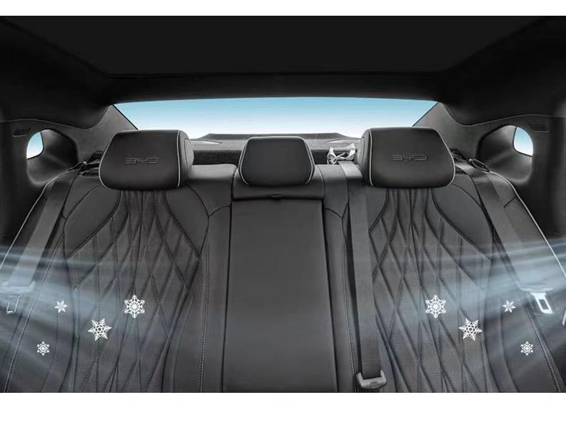 BYD Sky Canopy Sunroof Ice Crystal Sunshade - Full Blackout