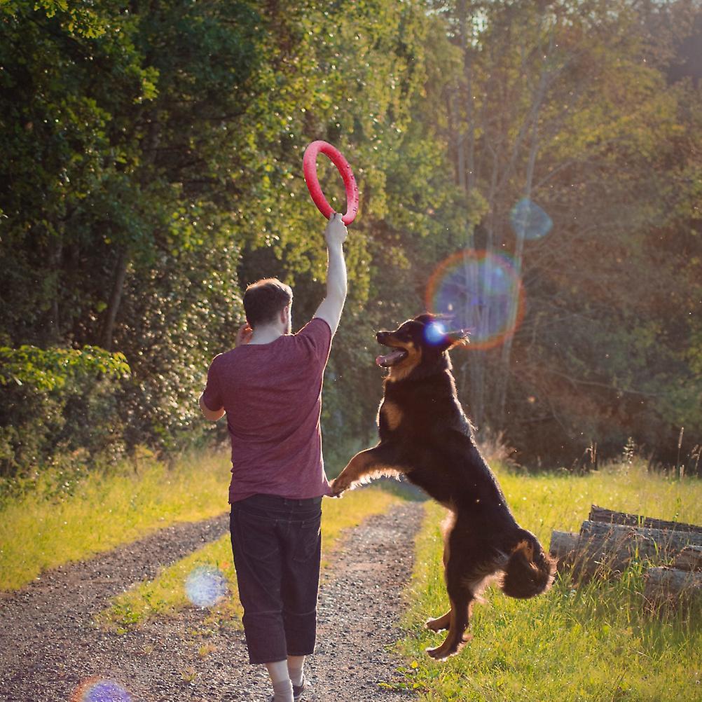 Pet Ring Flying Saucer Toysfor Dog Dog Flying Discs Outdoor Floating Interactive Toy