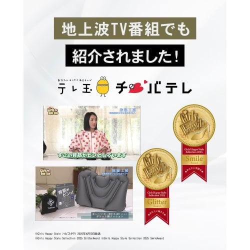 Pocket Lumbar Cushion [Soft and Comfortable for Your Lower Back!] Cushion, Lumbar Pillow, Travel Pillow, Convenient Backrest for Airplanes, Night Buse