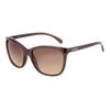 Calvin Klein Womens/Ladies Gradient Sunglasses