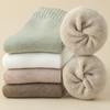Terry Socks Women's Mid-calf Length Socks Autumn and Winter Fleece-lined Thickened Warm Stockings Floor Socks Boneless Sewing Home Socks Heat Storage