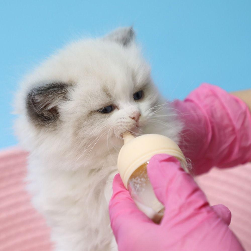 High Temperature Resistant Pet Nursing Bottle Detachable Lid Design Silicone Nipple Puppies Drinking Milk Bottles Anti-slip