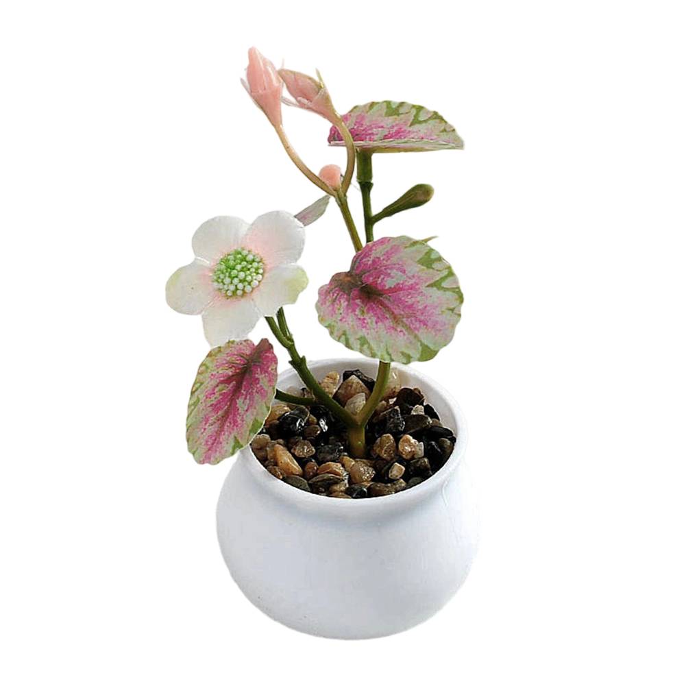 

Artificial Flower Decoration Small Potted Bonsai for Coffee Table and Desk Simulation Pine Tree for Home and Office Decor