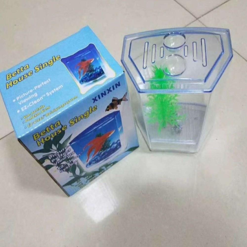 Transparent Betta Isolation Box Single/Double Grid Fish Breeder Box  Office Fish