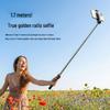 Portable Selfie Stick with Floor Tripod & Remote Control for Mobile Photography & Live Broadcast
