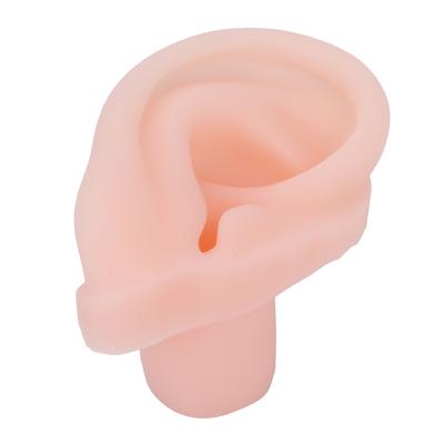 Silicone Simulated Soft Ear Model Flexible Right Ear Model for Pharmacy Hospital Display