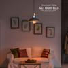 Himalayan Glow Salt Light Bulbs 60-Watt Equivalent, Warm Amber Glow, 2Pcs