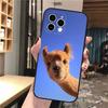 Alpaca Llamas Phone Case For iphone 17 Pro Max Air 16 15 14 13 Pro Max 15 16 Pro 15Plus