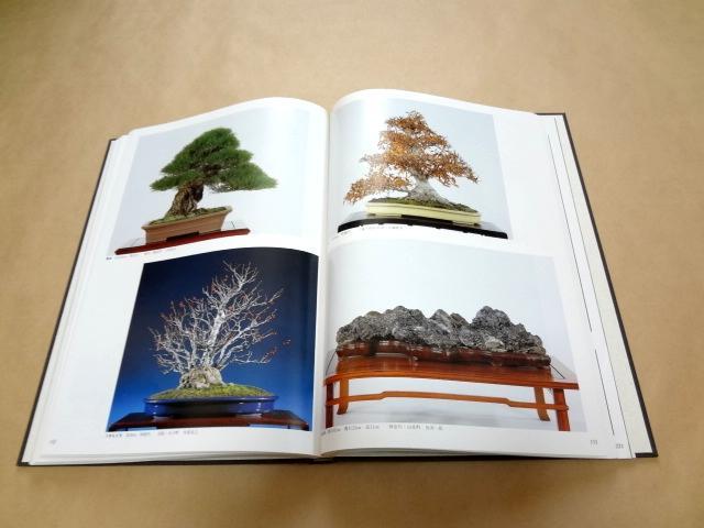 [USED] Collection of works, catalogue "The 12th Nippon Bonsai Taikan Exhibition