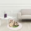 Pad Rope 15.8inch Sleeping Carpet Scratching Mat for Small and Medium Cat Dog Protecting