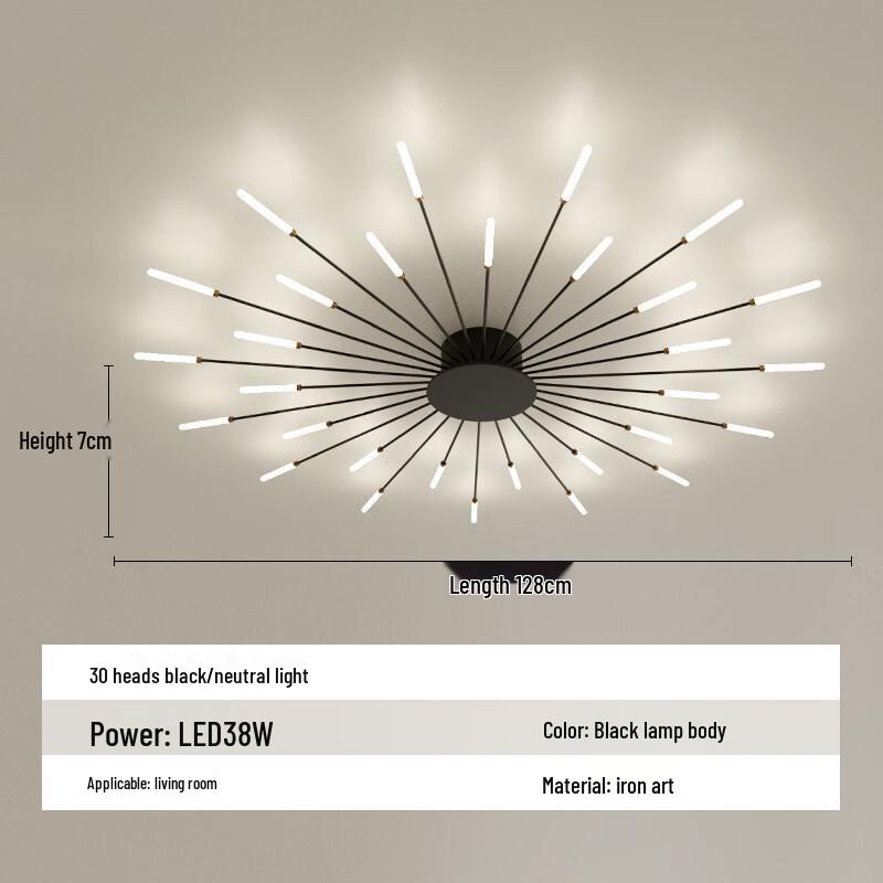 Минималистичный потолочный светильник для гостиной Shengbai