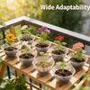 50/300Pcs Transparent Plastic Plant Covers Seedling Trays Hydroponic Containers Home Garden Planting Supplies Nursing Lids
