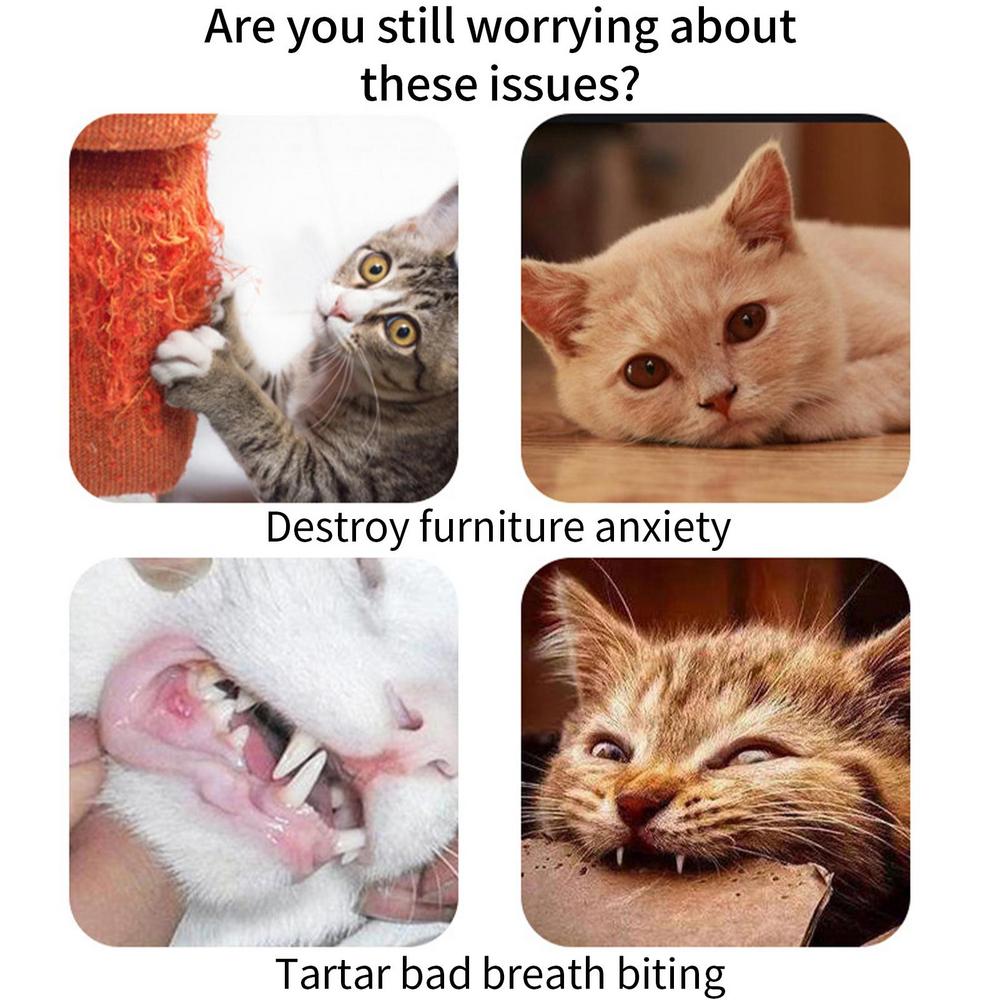 Katzenball, buntes Katzenballspielzeug, Katzenrollball, Spielzeug, Geschenk für Haustiere, Katzenspielzeug, Haustierspielzeug