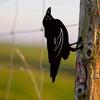 1pc Black Crow Silhouette – Cute Metal Bird Garden Statues, Decorative Yard Stakes for Lawn, Garden, and Outdoor Decorations
