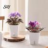 Small Planters for Hoya Cuttings Self Watering Plant Pots Indoor Plants, with Water Level Indicator, Clear Propagation Containers Carnivorous