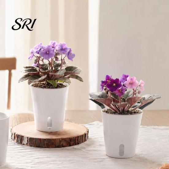 Small Planters for Hoya Cuttings Self Watering Plant Pots Indoor Plants, with Water Level Indicator, Clear Propagation Containers Carnivorous