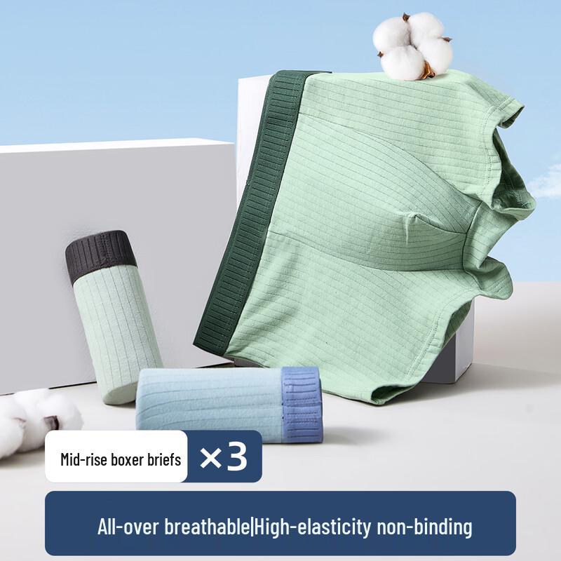 Urban Beauty Men's Cotton Briefs (3-Pack)