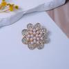 Korean Style Rhinestone Pearl Alloy Brooch & Pin