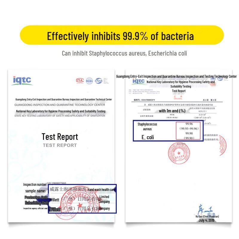 Walch Foam Antibacterial Hand Wash