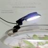 Pești și animale marine – Iluminare acvariu