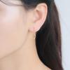 ESTELLE [Official] Women's Hook Earrings, 10K Yellow Gold, 0202-3423-0019-0000
