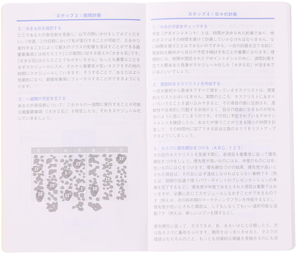 Franklin Planner Organizer, Business Slim, January 2026 Start, No Cover, 86521