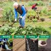 Zappa da Giardino in Acciaio Inossidabile con Occhiello a Staffa Affilato Strumento per Sarchiare Testa Triangolare Zappa Sarchiatrice con Manico Lungo Ergonomica per Giardino