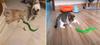 Funkgesteuertes Katzenspielzeug, Katzen-Zerrspielzeug, Schlange, Fernsteuerbare Schlangenspielzeug, Bewegliche Fernbedienung, RC-Simulation, Grusliges Scherzspielzeug, Katzenspielzeug, Katze