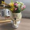 Funny Flower Planter Cartoon Plant Growing Container Succulent Flowerpot  Succulent Planting