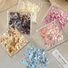 1Box Aurora Shell Flakes Abalone Nails Charms Thin Natural Irregular Slice Shell Stone Sequins Manicure Art Decoration