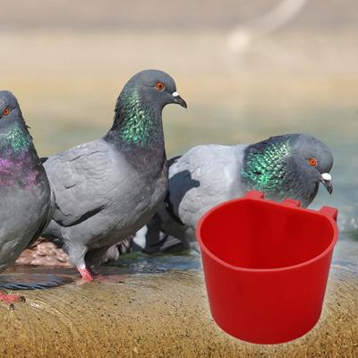 Yousheng 10 Pcs Chicken Cage Cups Hanging Feeding Cups Bird Food Bowls Bunny Cage Feeding Bowl for Pet Parrot Poultry Pigeon Wire Cage