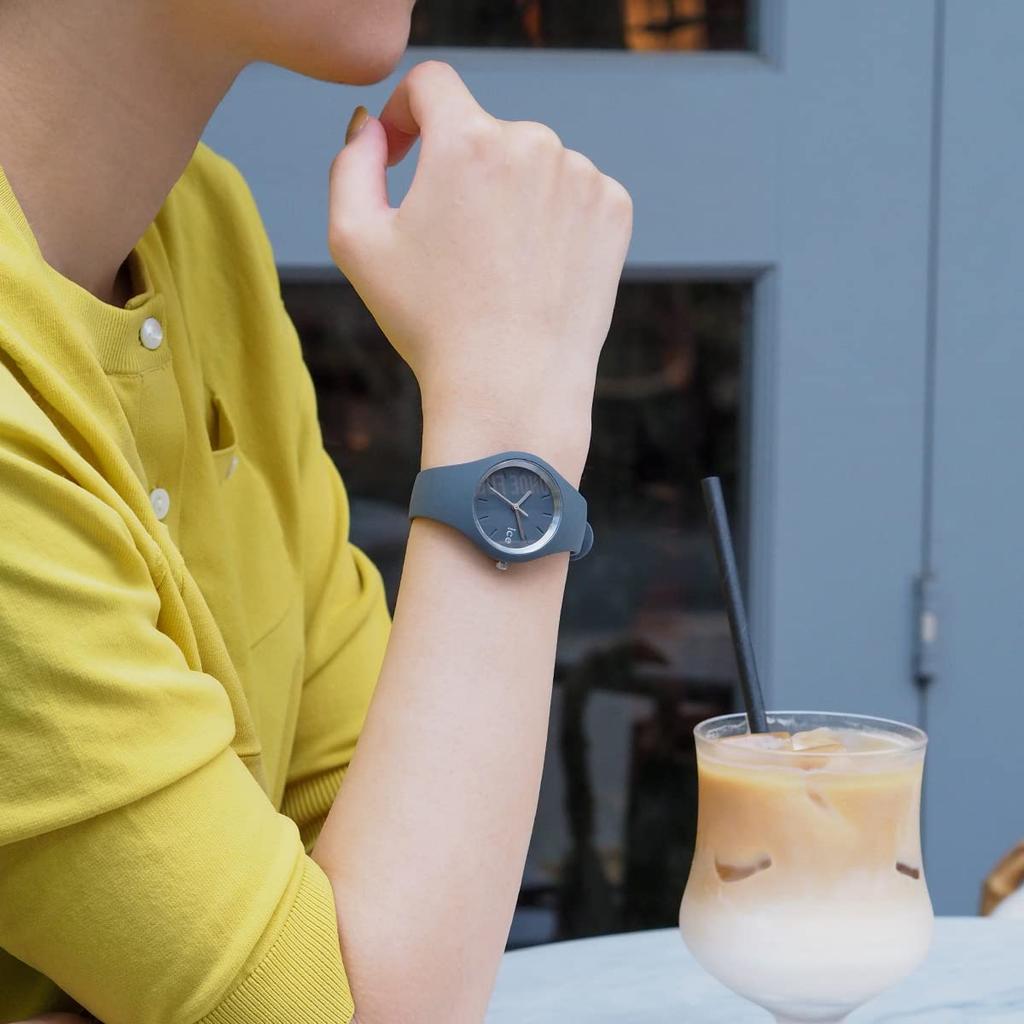 Authorized Ice Watch Watch 021149 Ice Any Gray Small Women's
