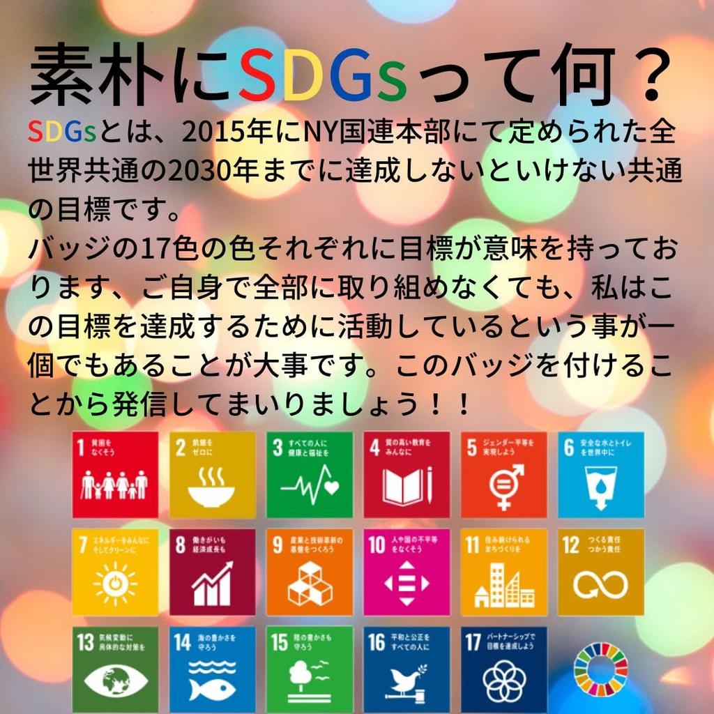 Official Latest System SDGs Rounded Finish 20mm Company Emblem Includes 30 Clasps [UN Specification/Invoice Compatible] Badges, Silver, (10 Badges)