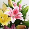 65cm Artificial Lily Flower Silk Wedding Bridal Bouquet New Fake Lily Bouquet  Living Room Decor