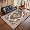 Retro Persian American Carpet Large Area Living Room Decoration Home Ethnic Style Bedroom Rug Cloakroom Lounge Soft Mat Washable
